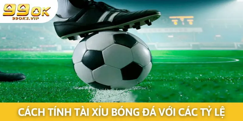 Có nhiều tỷ lệ tài xỉu bóng đá khác nhau