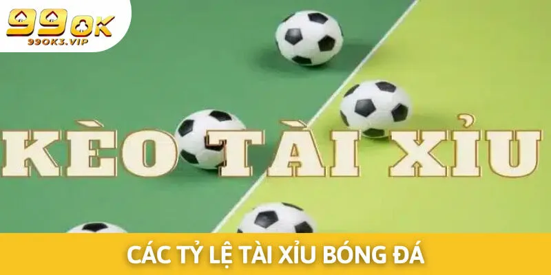 Bet thủ có thể lựa chọn đặt cược với nhiều tỷ lệ tài xỉu khác nhau